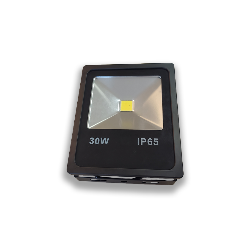 Led projector 30 Watt