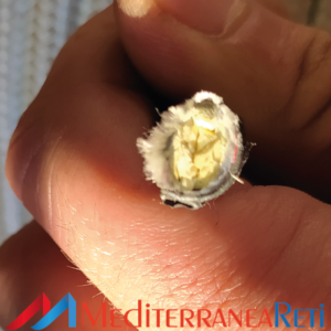 uhmwpe-pes-covered-mediterraneareti-1-web